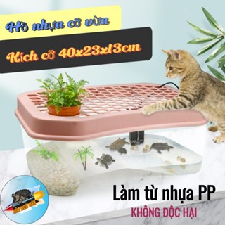  Hồ nhựa nuôi rùa chậu nuôi rùa có chỗ leo Hộp nhựa nuôi rùa cỡ VỪA 