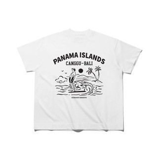 Áo thun unisex nam nữ form Boxy tee Panama vintage 100% cotton 250gsm