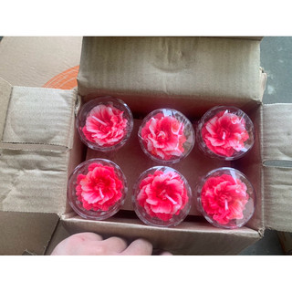 Nến T01 Nghệ Thuật 3D( Hộp 12 Nến)