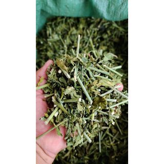 cây xương khỉ khô - Dành cho người nhức mỏi xương khớp, người bị ung thư, hay làm trà uống hằng ngày để phòng ngừa bệnh
