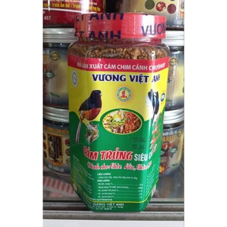 Cám chích chòe than lửa Vương Việt Anh