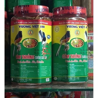 Cám chích chòe than lửa Vương Việt Anh