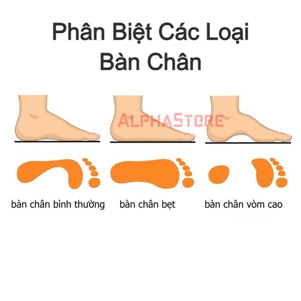 Lót Chân Bẹt Chất Liệu EVA Cao Cấp - Vòm 2.5cm - Lót Giày Chuẩn Y Khoa Chỉnh Hình Bàn Chân Phẳng