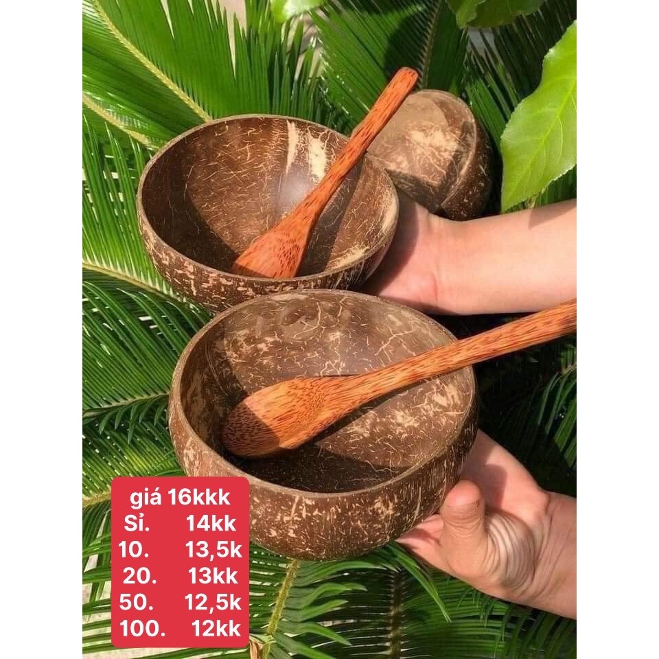 Bát gáo dừa (bát)