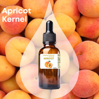 Organic dầu hạt mơ Apricot Kernel Oil hữu cơ nguyên chất