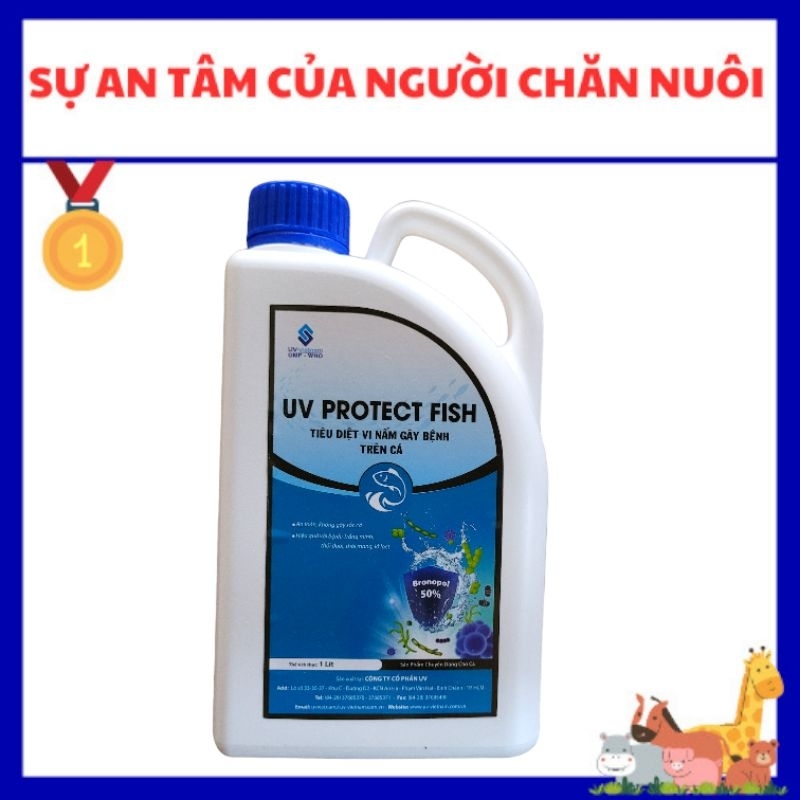 [Thủy Sản] UV PROTECT FISH (1♡): Nấm thủy my,  nấm mang,  ...