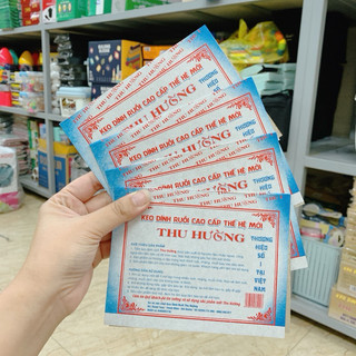 Set 10 tấm keo dính ruồi, vỉ dính ruồi, bẫy ruồi.