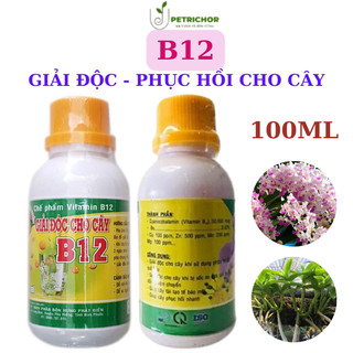 B12 giải độc cây 100ml- vitamin b12 - chống sốc cây kiểng - giải độc phong lan- b12 cho hoa kiểng phong lan