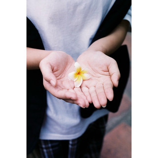 [Hanoi Film] Phim Scotch 400