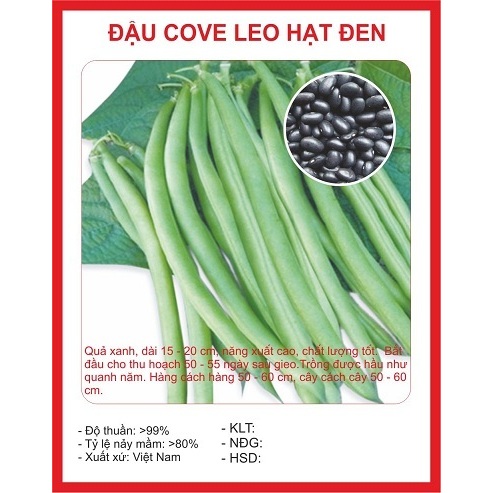Hạt Giống Đậu Cove Leo Hạt Đen ( 50gram/gói )