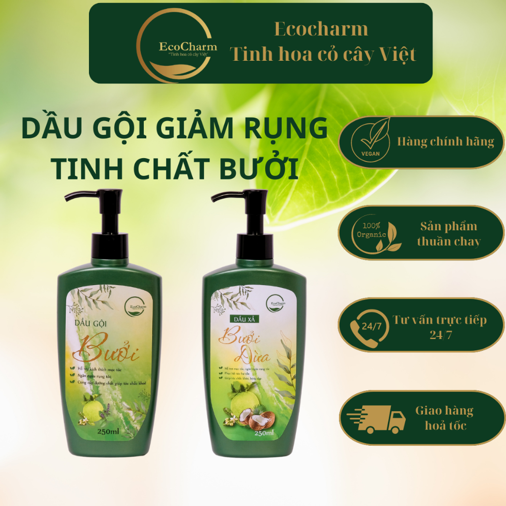 Combo Dầu gội thảo mộc bưởi -Xả dừa bưởi dưỡng tóc giảm rụng Ecocharm 250ml thiên nhân thuần chay
