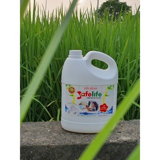 Nước Rửa Bát Safelife