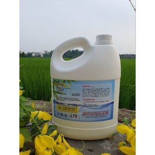 Nước Rửa Bát Safelife