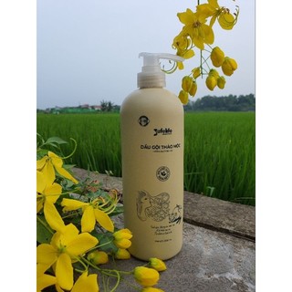 Dầu Gội - Dầu Xả Thảo Dược Safelife 500ml/1000ml