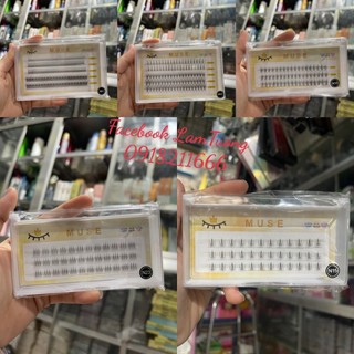 Mi cụm muse n01-n28
