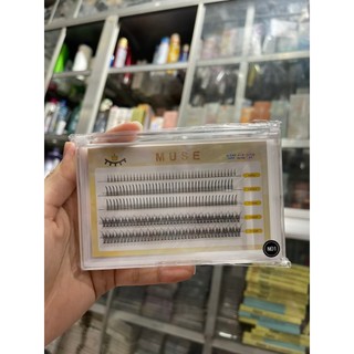 Mi Cụm Muse N01-N28