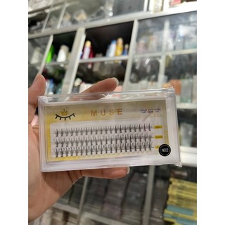 Mi Cụm Muse N01-N28