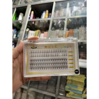 Mi Cụm Muse N01-N28