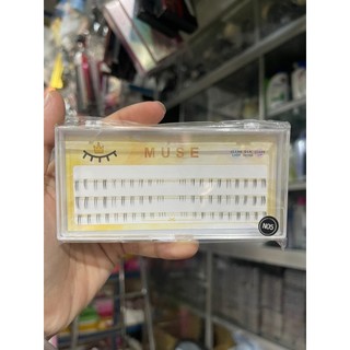 Mi Cụm Muse N01-N28