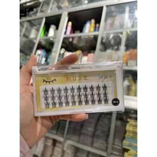 Mi Cụm Muse N01-N28