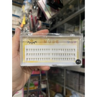 Mi Cụm Muse N01-N28