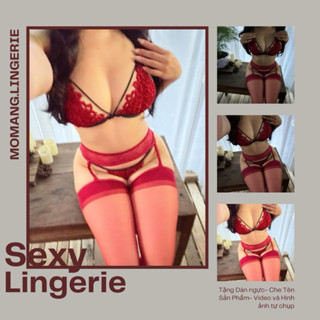  DL020 Set nội y ren nữ hoa nhỏ gợi cảm sexy quyến rũ set đồ lót phong cách gợi cảm có sẵn quần lọt khe 