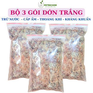Bộ 3 gói dớn - giá thể trồng lan - vật dụng trồng phong lan, hồ điệp