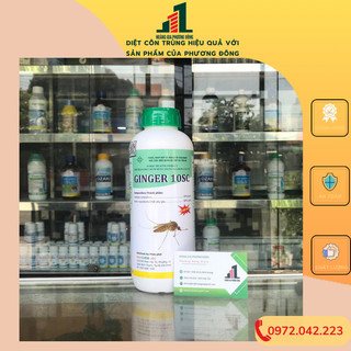Ginger 10SC - Thuốc diệt muỗi giá rẻ (1 lít)