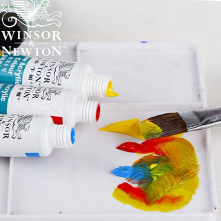 màu acrylic Winsor & Newton