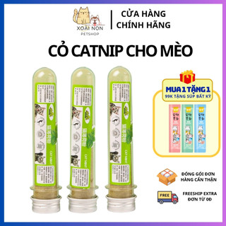 Cỏ Catnip - Cỏ Catnip gắn tường hỗ trợ tiêu hóa tiêu búi lông cho mèo
