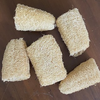 Vụn Xà Bông Sinh Dược
