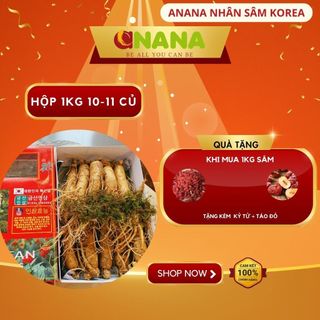 Nhân sâm tươi chuẩn Hàn Quốc 6 năm tuổi Hộp sâm 10-11 củ/1 kg một loại thảo dược quý dành tặng sức khỏe ANaNa