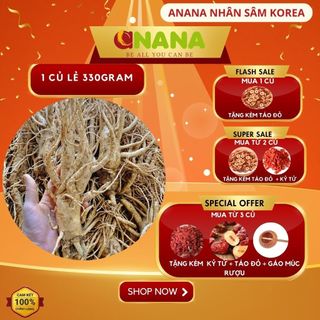 Nhân sâm tươi chuẩn Hàn Quốc 6 năm tuổi Loại 1 củ lẻ size 3 củ/kg một loại thảo dược quý dành tặng sức khỏe ANaNa