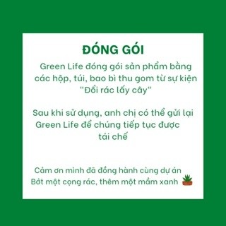 Sen đá bầu (sen bầu đen, 5-7 cm)