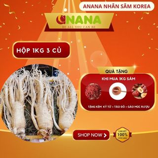 Nhân sâm tươi chuẩn Hàn Quốc 6 năm tuổi - Hộp 1kg size 3 củ/kg một loại thảo dược quý dành tặng sức khỏe - ANaNa