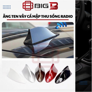 Vây Cá Mập Ô Tô, Ăng Ten Vây Cá Xe Hơi -CHÍNH HÃNG- Thu Sóng Radio AM / FM Tăng Khả Năng Bắt Sóng BIG B STORE