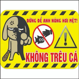 Logo - Sticker dán cảnh báo bể cá vui nhộn - có keo sẵn - Tem decal dán bể cá