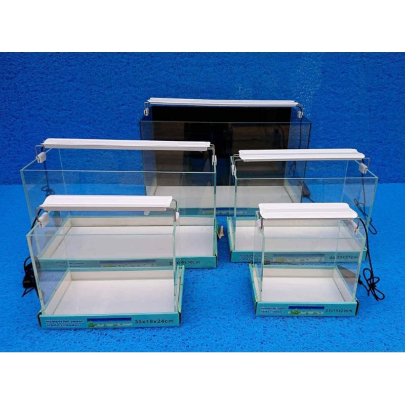 Bể cá cảnh kính đúc nhập khẩu 30 x 18 x 24cm combo bể + đèn + lọc