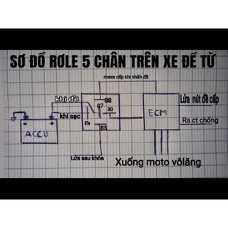 role 5 chân