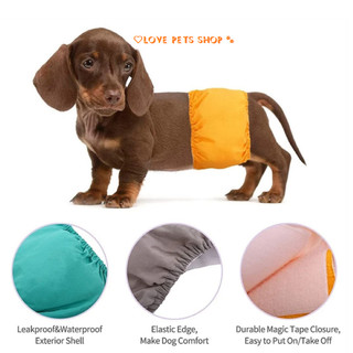 Quần sinh lý cho Chó trai, tã vải quấn bụng cho Chó - Love Pets Shop
