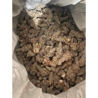 Củ tam thất bắc , tam thất rừng 1kg