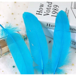 ✨lông vũ handmade 15-20cm