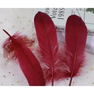 ✨lông vũ handmade 15-20cm