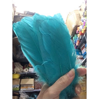 ✨lông vũ handmade 15-20cm