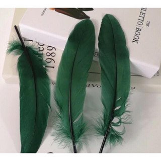 ✨lông vũ handmade 15-20cm