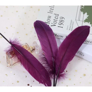 ✨lông vũ handmade 15-20cm