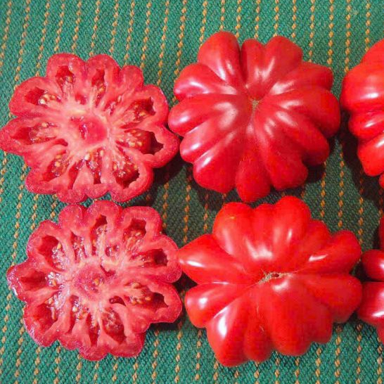 [Hạt giống Nga] Hạt giống cà chua múi Lorena