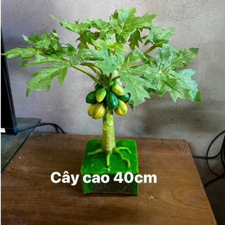 Cây đu đủ giả cây chuối giả mini trang trí nhà cửa làm quà tặng