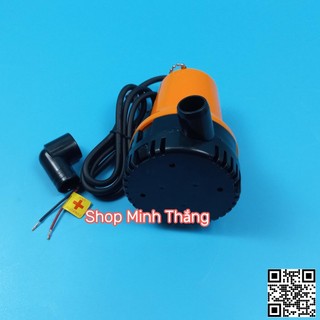 Máy Bơm Chìm Điện DC 12V 24V
