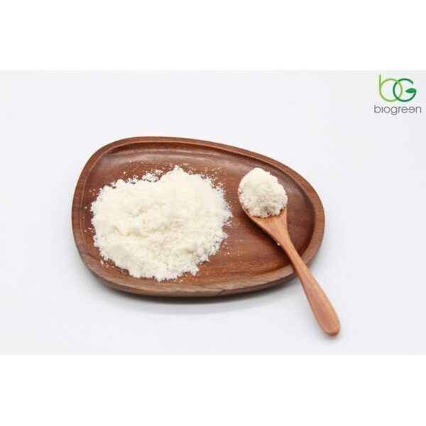Enzyme Protease